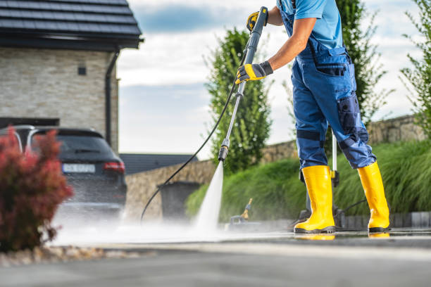 Best Solar Panel Cleaning  in Friendswood, TX